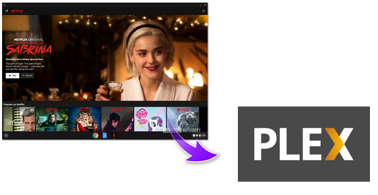 netflix plugin for plex mac os x