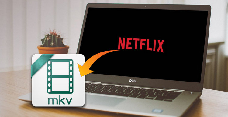 best netflix to mkv downloader