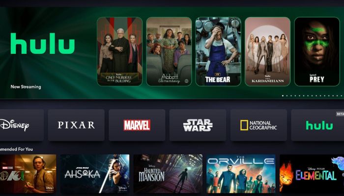 Can you download shows on Hulu? You can download shows on Hulu with FlixiCam StreamOne.