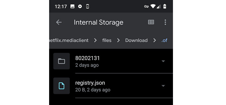 where-are-netflix-downloads-stored-on-android-flixicam